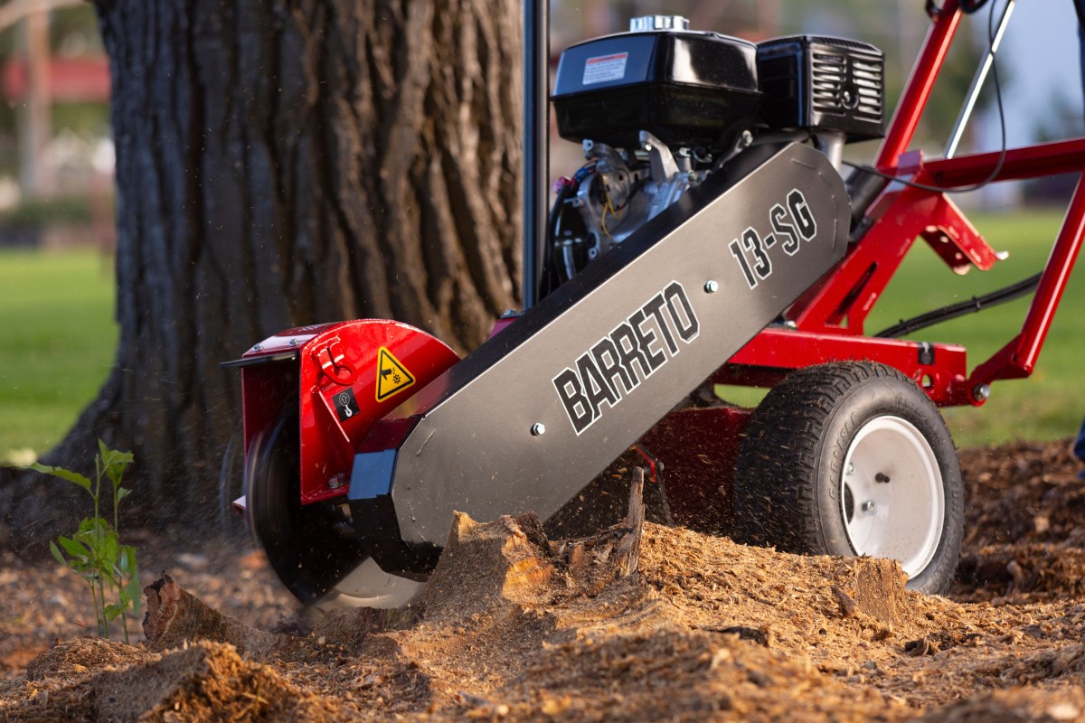 Stronkenfrees - Afbeelding 2