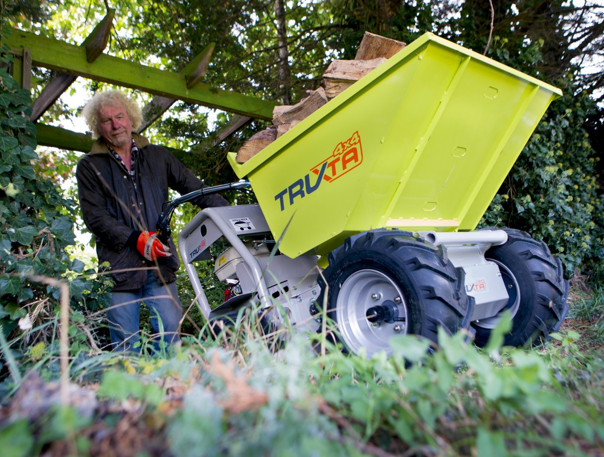 Mini-dumper 450kg - Afbeelding 2